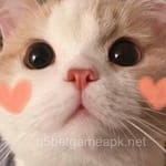 Avatar of Rida Zaman